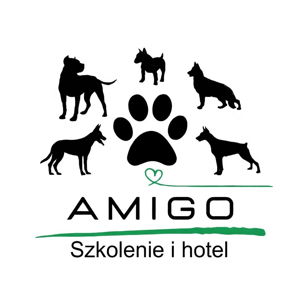 Amigo
