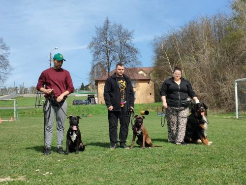 IMG20250413112900