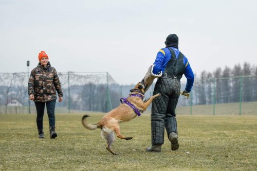 obrona-sportowa-Amigo-6